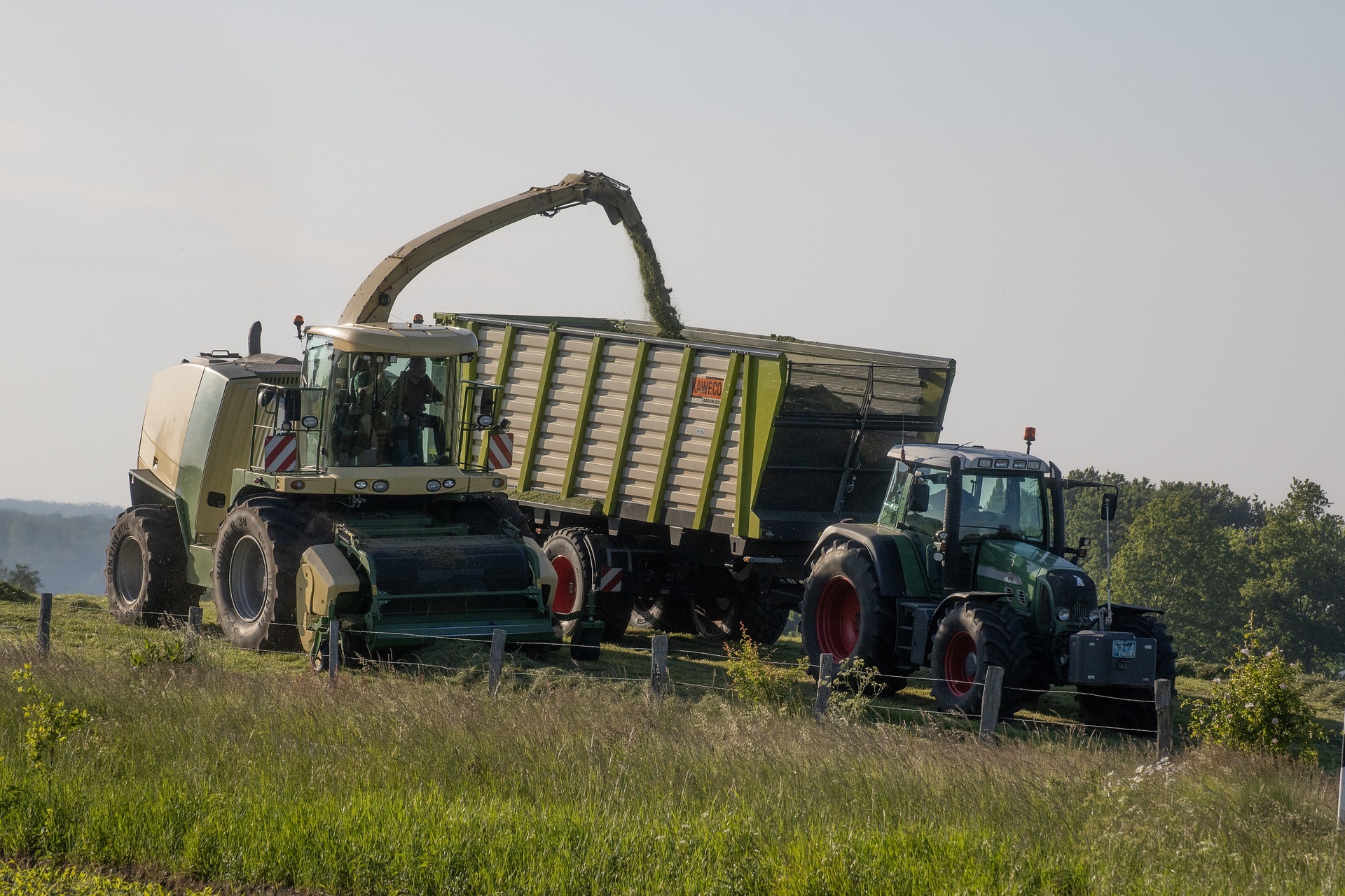 Exploring Biogas